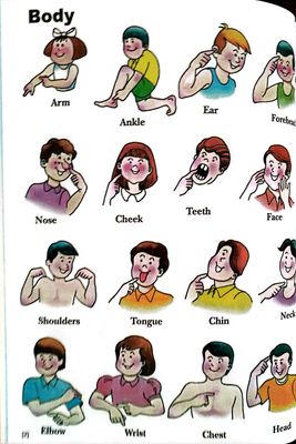 1001 Words in picture_img_2