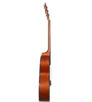 🔥Deviser L-720A Acoustic Guitar_img_2