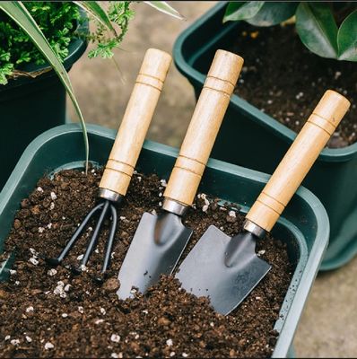3pcs Mini Garden Shovel Rake Spade Bonsai Tools Set Wooden Handle for Flowers Potted Plant Garden Tools Weeding Tools_img_1