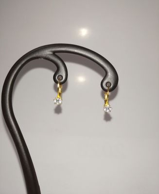 MD77 hoop earrings_img_1