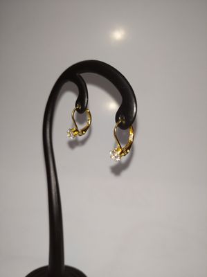 MD77 hoop earrings_img_2