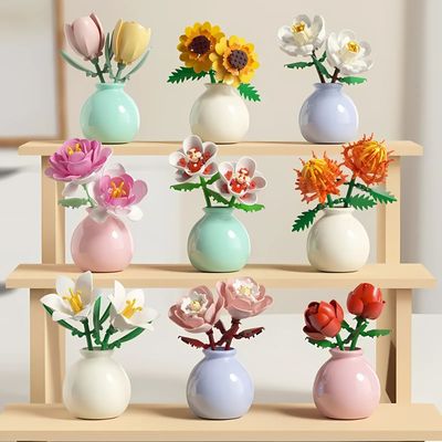 Gardenia -Potted Plants_img_1