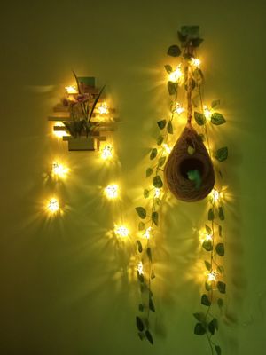 বাবুই পাখির বাসা (হোম ডেকর) কম্বো - ৩_img_2