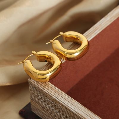 Chunky Adina hoop earrings_img_0