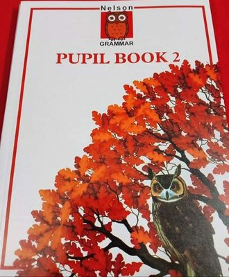 Nelson Grammar Pupil Book 2_img_0