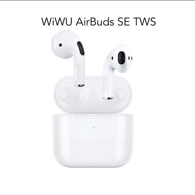 WIWU Airbuds SE True Wireless Stereo Ear Buds (ASTWSW)_img_0