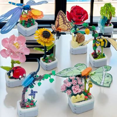 Butterfly Rose Succulent Potted Plant_img_2