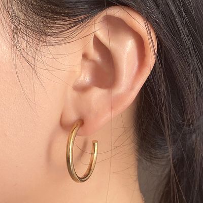 Hoop earrings_img_0