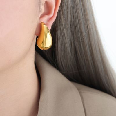 SS Droplet Earrings_img_0