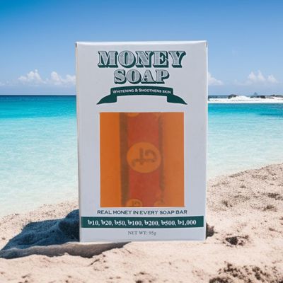 Money Soap_img_0