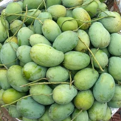 আম(রূপালি-1kg)কার্বাইড মুক্ত_img_1