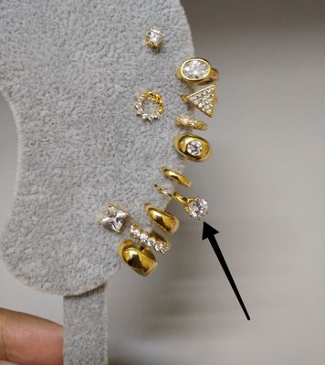 MD77 hoop earrings_img_0