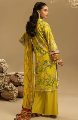Pakistani dress_img_1