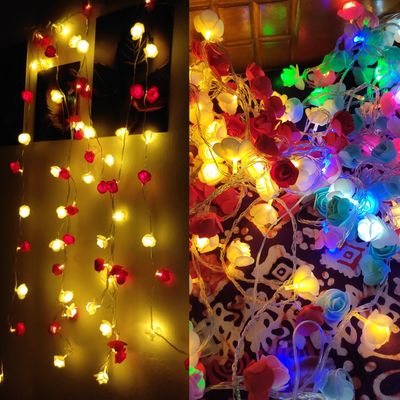 ১৬০ পিস গোলাপের LED লাইটিং সেট - ফ্রি হোম ডেলিভারি_img_4