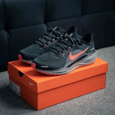 Nike Pegasus 41 (1:1)_img_2