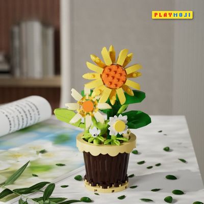 Sunflower potted plants_img_0