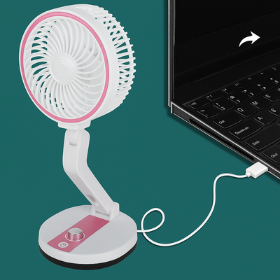 Folding Fan LR 2018_img_7