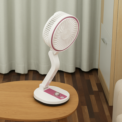 Folding Fan LR 2018_img_6