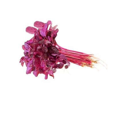 Red Spinach (Lal Shak)1Bundle লাল শাক_img_0