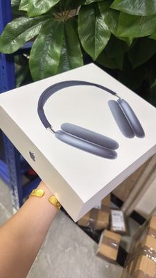 Airpods Max_img_2