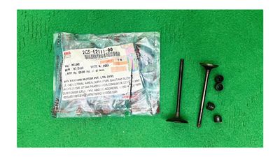 Valve & Valve Valve (Exhaust & Intake) for Yamaha FZS V2, FZS V3, FZS V4, FZX & Fazer V2 bike._img_2