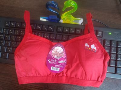 Soft Padded Bra / Women's Comfortable Sexy No Steel Ring Bra Traceless Sports Plus Size Bras Comfy See Through Bra Soft Adjustable_img_1