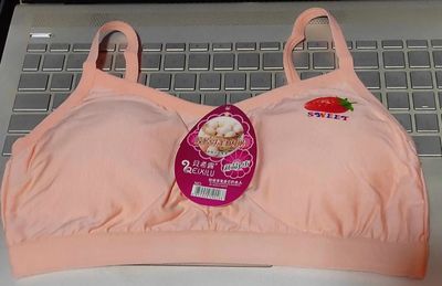 Soft Padded Bra / Women's Comfortable Sexy No Steel Ring Bra Traceless Sports Plus Size Bras Comfy See Through Bra Soft Adjustable_img_3