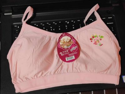 Soft Padded Bra / Women's Comfortable Sexy No Steel Ring Bra Traceless Sports Plus Size Bras Comfy See Through Bra Soft Adjustable_img_4