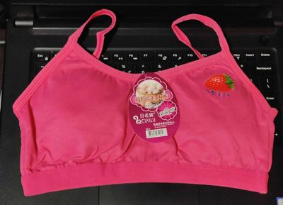 Soft Padded Bra / Women's Comfortable Sexy No Steel Ring Bra Traceless Sports Plus Size Bras Comfy See Through Bra Soft Adjustable_img_5