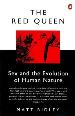 The Red Queen_img_0