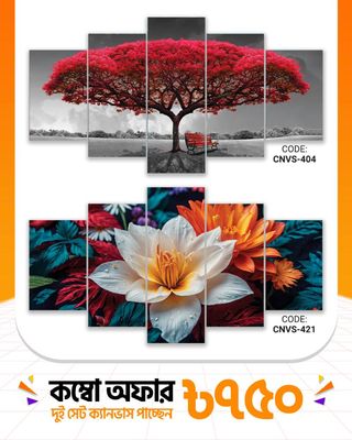 ক্যানভাস কম্বো -৬০। CNVS-404,421_img_0