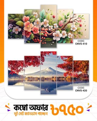 ক্যানভাস কম্বো -৭১। CNVS-410,420_img_0