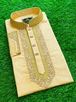 সিকুয়েন্সের লাক্সারী পাঞ্জাবী_img_0