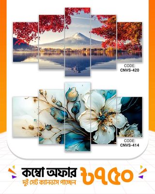 ক্যানভাস কম্বো -৭০। CNVS-420,414_img_0