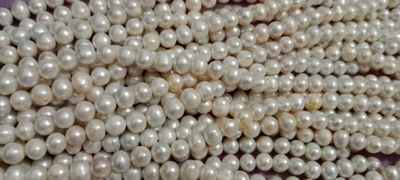 10 mm white Round pearl Layer ( A grade)_img_1