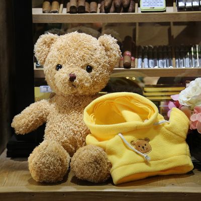 Sweater Bear Plush Toy Dressing Teddy Bear Doll_img_3