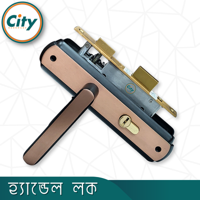 প্রিমিয়াম মানের ডোর হ্যান্ডেল লক উচ্চ সুরক্ষা ছোট আকারের হ্যান্ডেল লক ভিতরে দরজার জন্য সর্বশেষ মডেল রুমের দরজার লক Door Lock_img_1