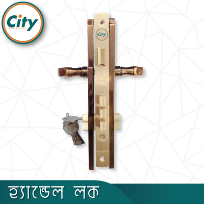অ্যান্টিক রঙের উচ্চ সুরক্ষা স্ট্যান্ডার্ড সাইজের হ্যান্ডেল লক প্রধান দরজার জন্য অ্যান্টিক রঙের দরজার লক Door Lock_img_3