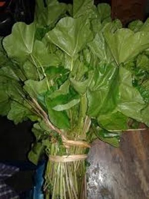 উত্তরবঙ্গের জনপ্রিয় লাপ / নাপা  / নাফা শাকের বীজ।_img_0