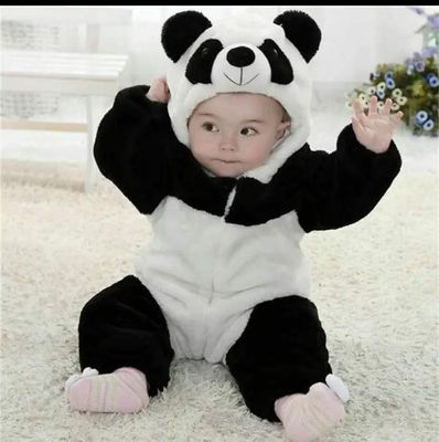 Baby  panda Blanket_img_0