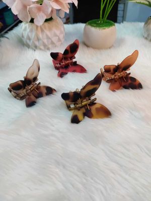 Butterfly clip_img_2