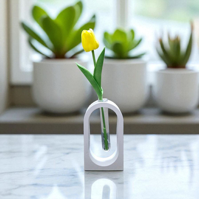 square shape flower vase+ tube + 1 piece tulip combo_img_0