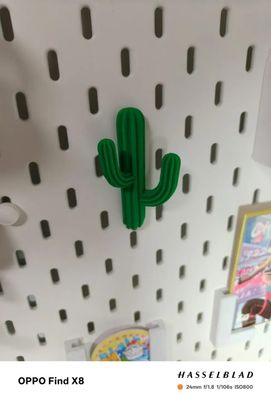 Cactus Pegboard Hook | InDecorBD_img_1