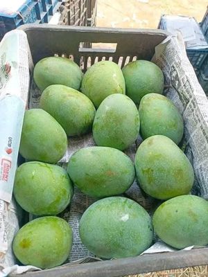 গোবিন্দভোগ_img_0