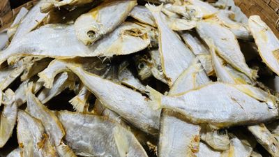 সামুদ্রিক চ্যাপা শুঁটকি শুকনো (Chepa)_img_1