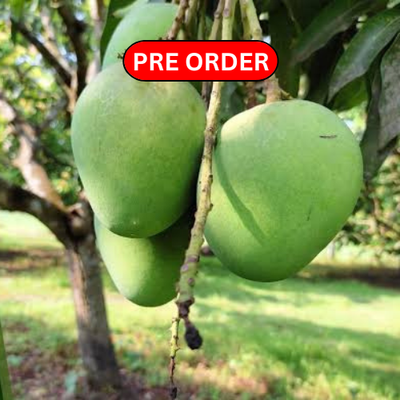 হিমসাগর আম | Himsagor Mango | ৫ কেজি {প্যাকেজিং এবং ডেলিভারিসহ}_img_0