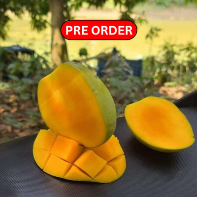 হিমসাগর আম | Himsagor Mango | ১০ কেজি {প্যাকেজিং এবং ডেলিভারিসহ}_img_0