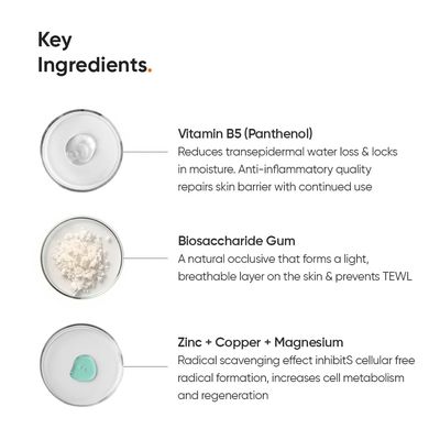 Minimalist 10% Vitamin B5 Moisturizer – For Dehydrated Skin & Damaged Barrier Repair_img_3