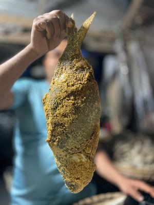 লোনা ইলিশ শুঁটকি (Hilsha)_img_1