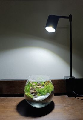 Round jar terrarium_img_0